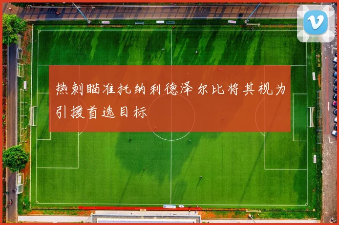 热刺瞄准托纳利德泽尔比将其视为引援首选目标