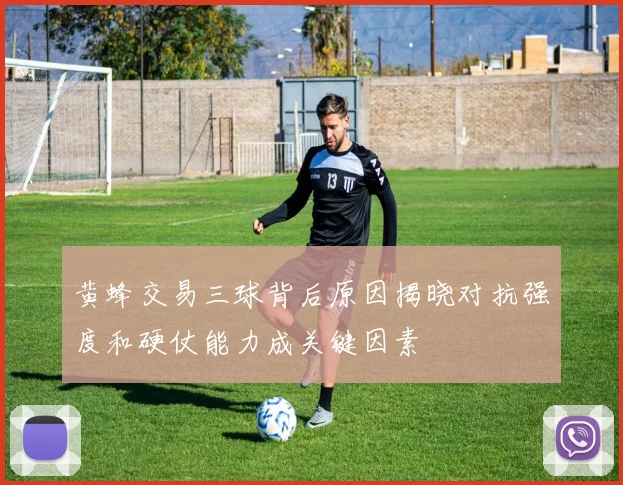 黄蜂交易三球背后原因揭晓对抗强度和硬仗能力成关键因素