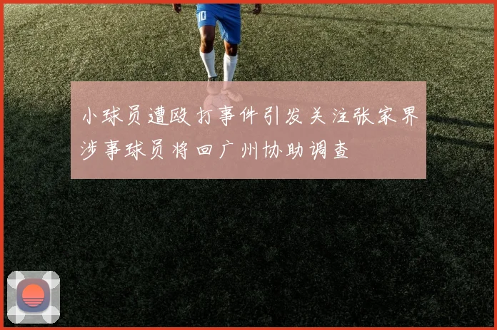 小球员遭殴打事件引发关注张家界涉事球员将回广州协助调查