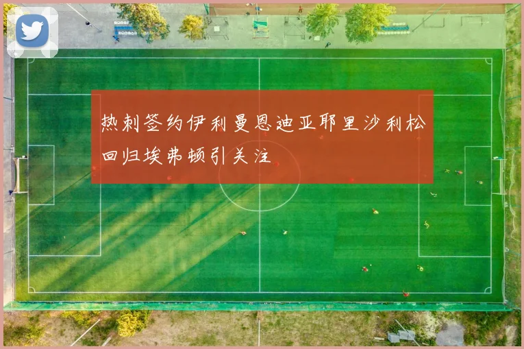 热刺签约伊利曼恩迪亚耶里沙利松回归埃弗顿引关注